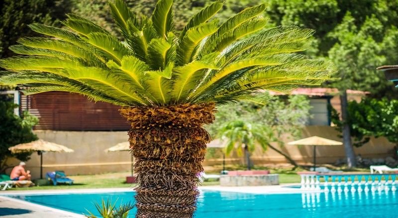 Achousa Hotel Faliraki Exterior photo